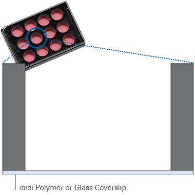 ANI_P_8122X_filling_Plate_12Well_c_400.gif