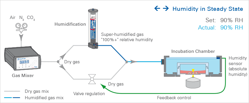 LCI_evaporation_1_22.gif