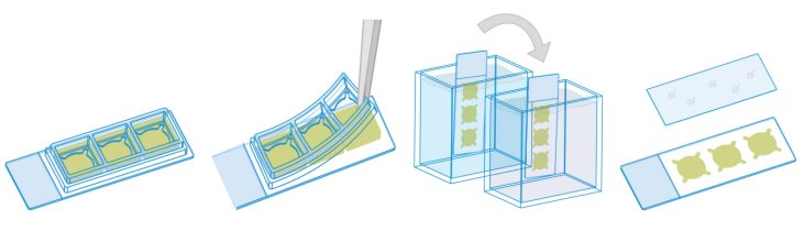 6.png