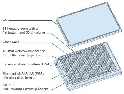 ANI_P_82427_filling_Plate_24Well_gb_HappyCell_336_grey_walls.gif