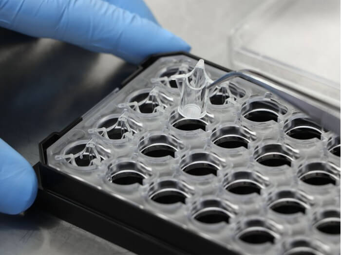-plate-24-well-for-membrane-inserts (2).jpg