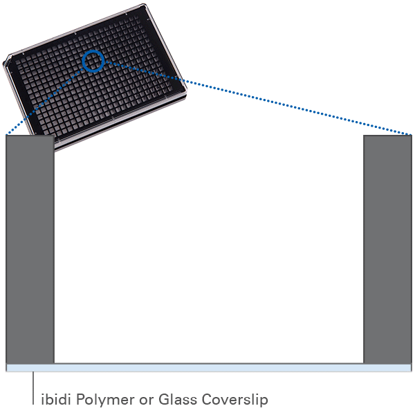ANI_P_8840X_filling_Plate_384Well_grey_walls_c_600.gif